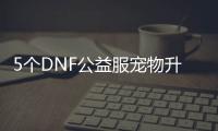 5个DNF公益服宠物升级小技巧