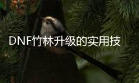 DNF竹林升级的实用技巧与步骤